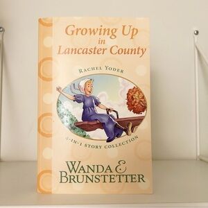 Growing Up in Lancaster County Wanda E. Brunstetter 4 books in 1 Rachel Yoder